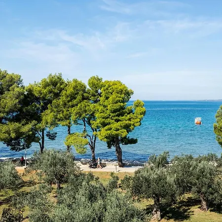 Ivana With Sea View - Pet Friendly Apartment Fazana